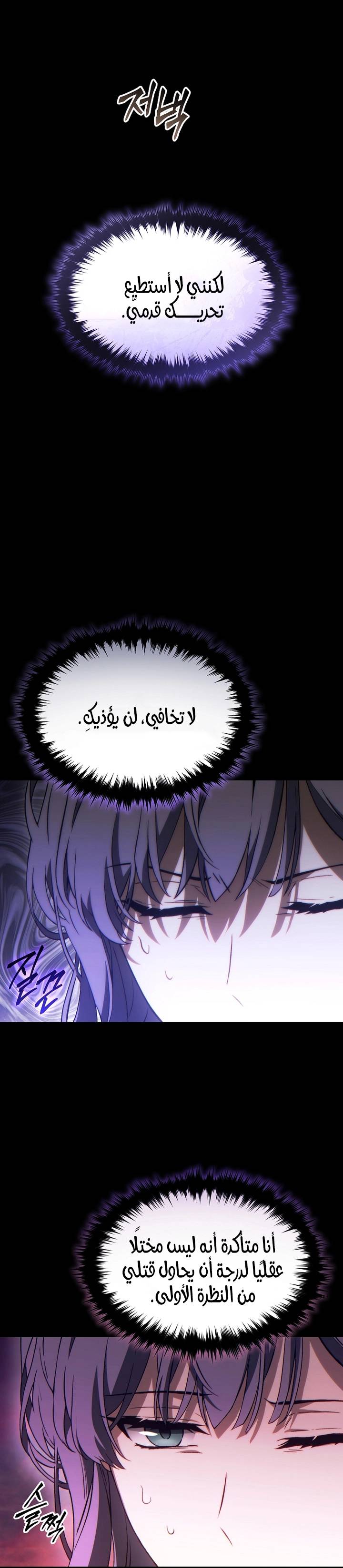 الصفحة 26