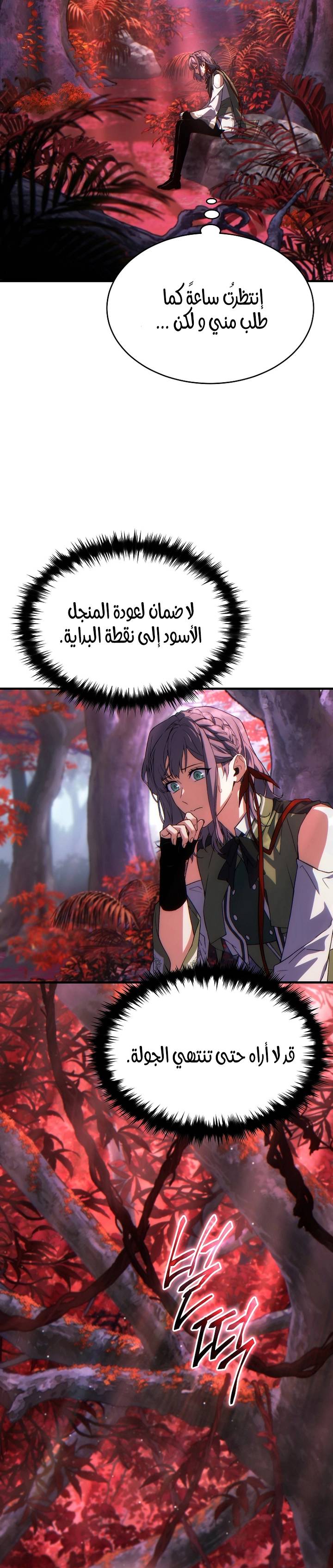 الصفحة 29