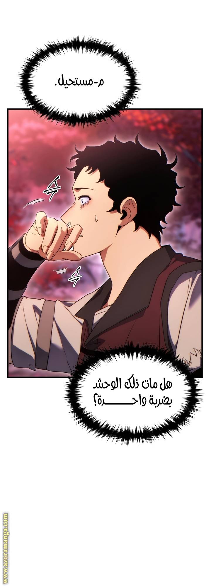 الصفحة 13
