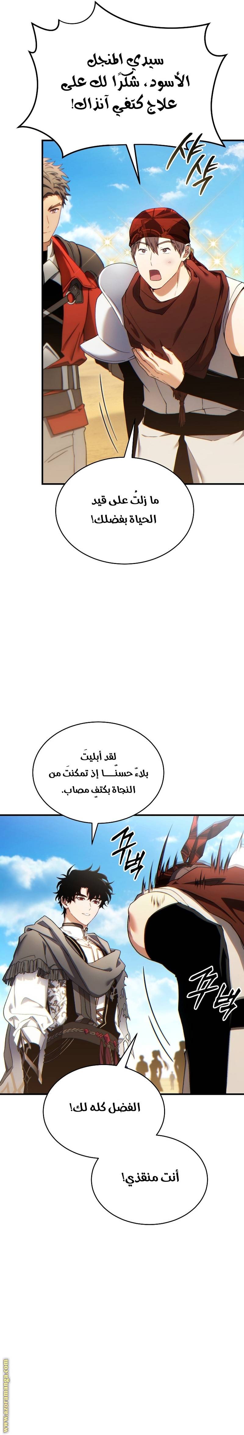 الصفحة 13