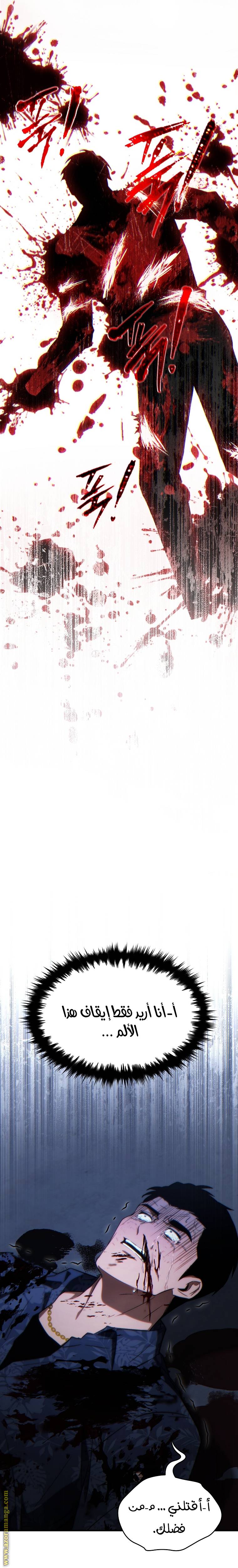 الصفحة 19