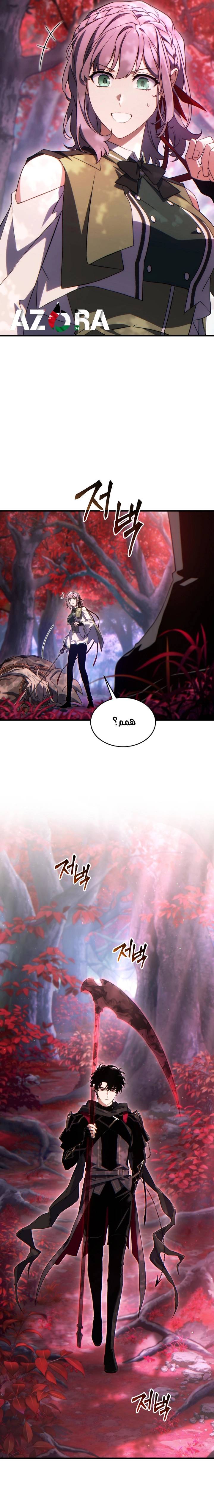 الصفحة 13