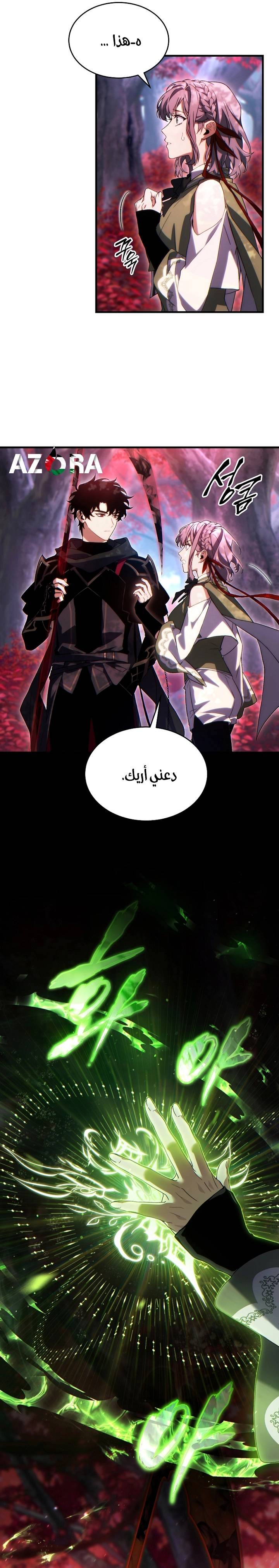 الصفحة 17