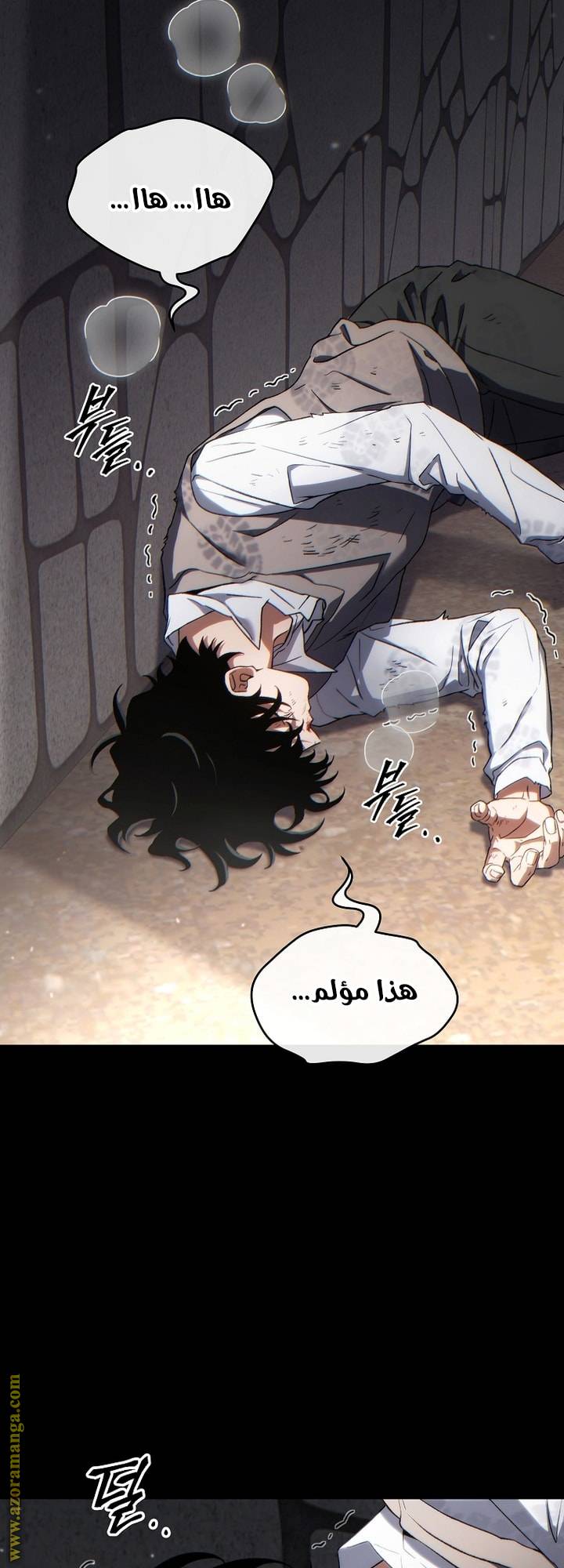 الصفحة 12