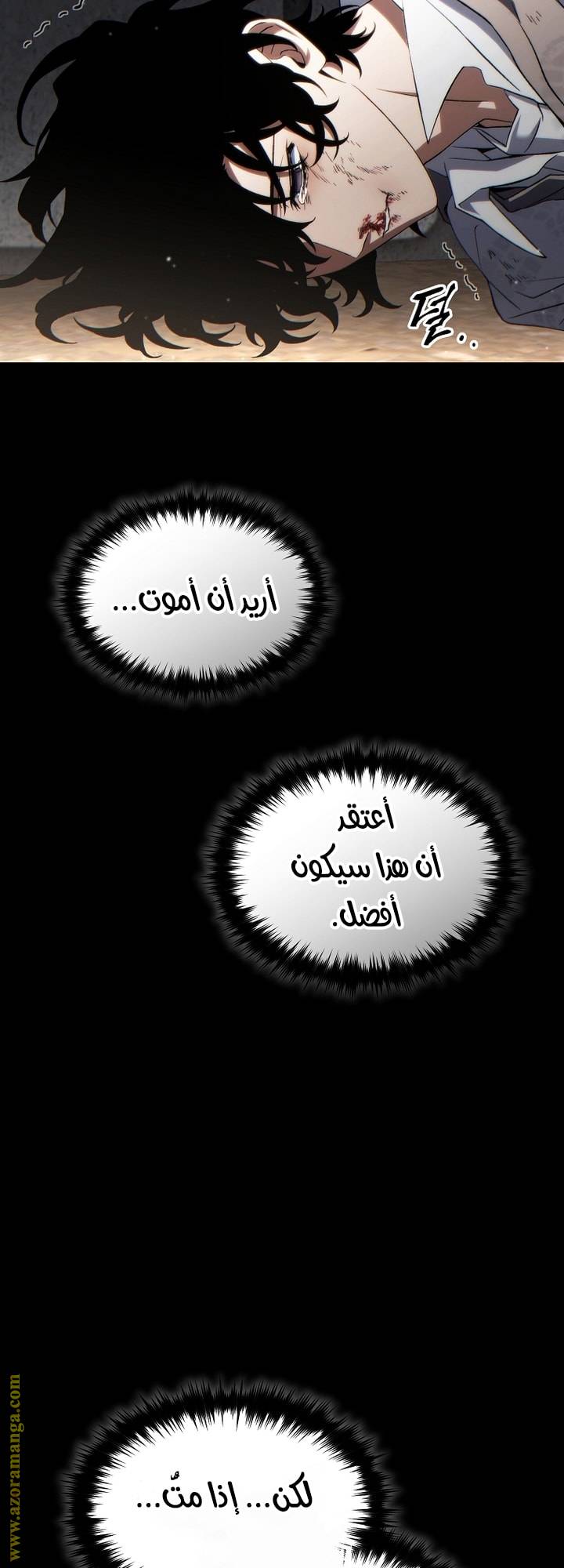 الصفحة 13