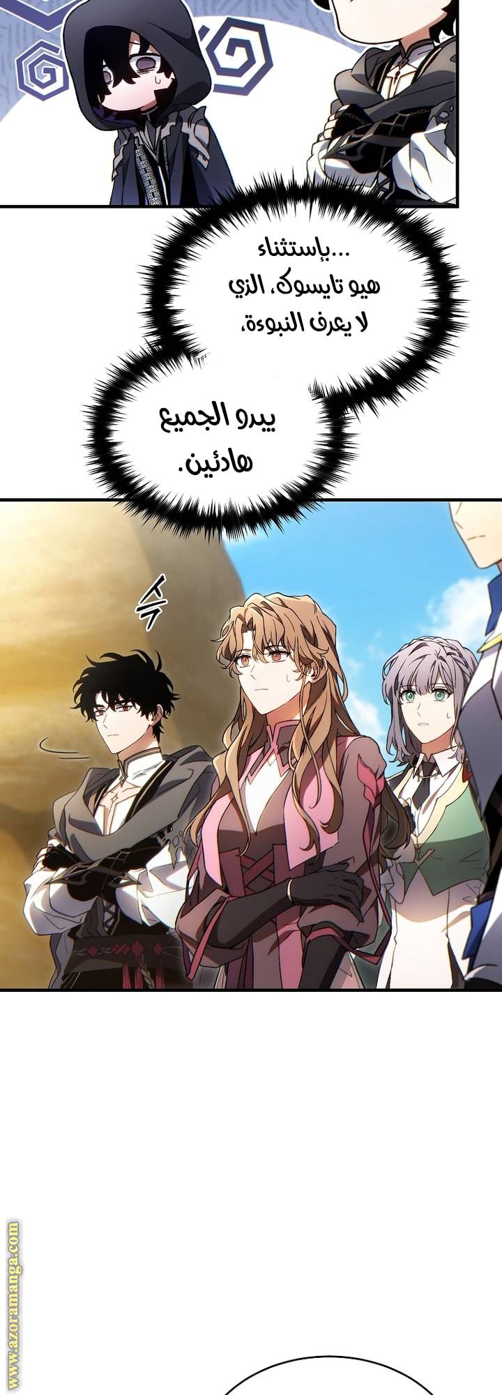 الصفحة 13