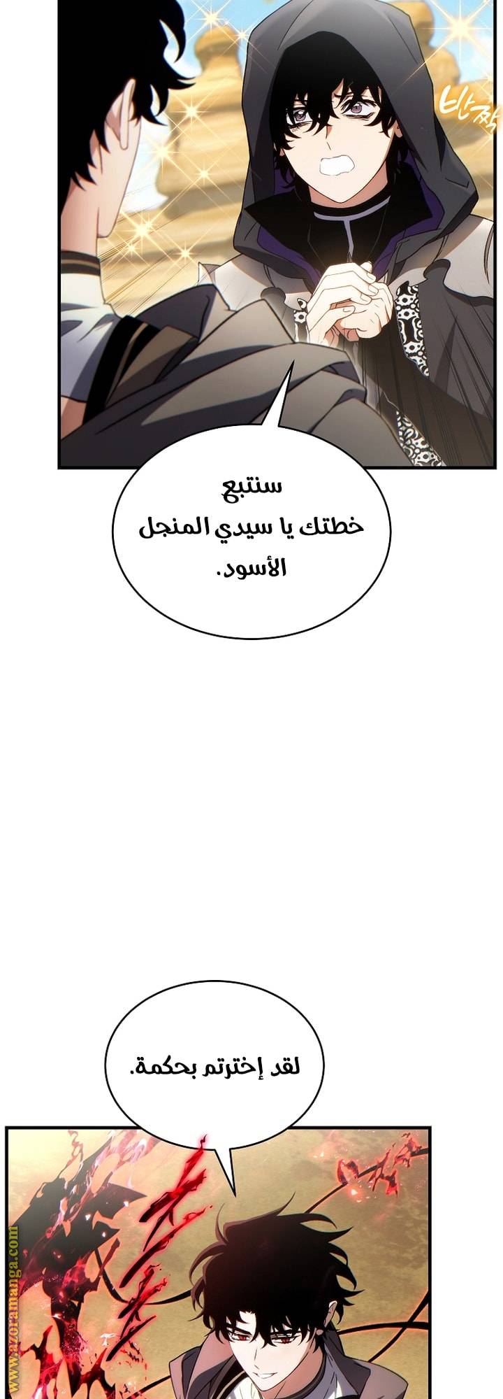 الصفحة 29