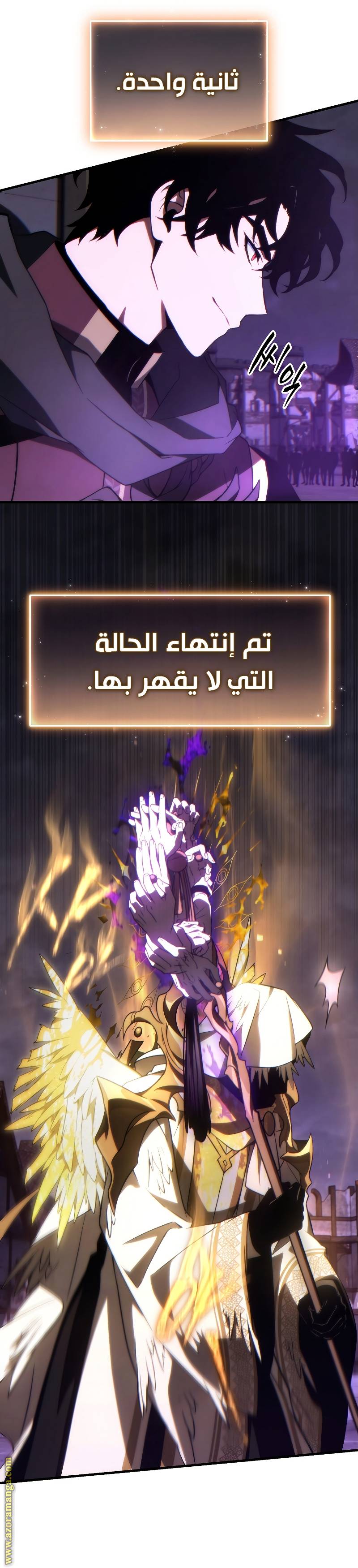الصفحة 14