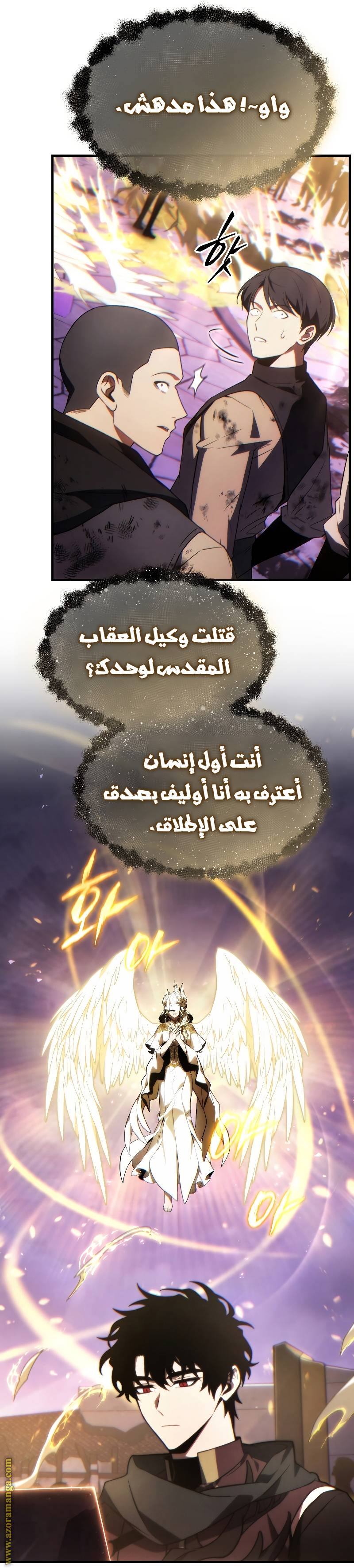 الصفحة 27