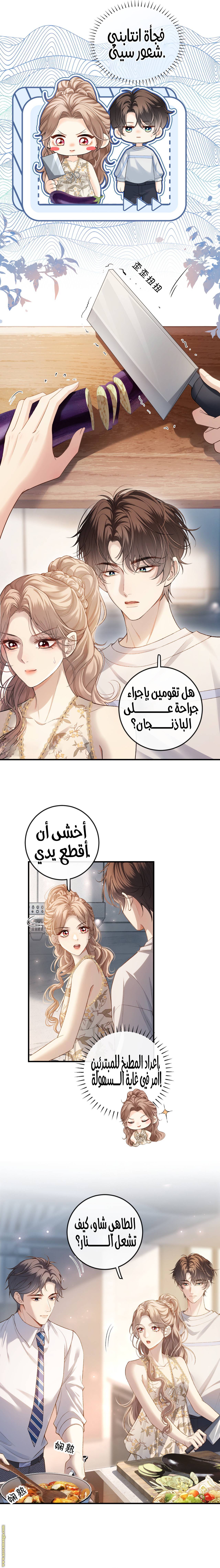 الصفحة 3