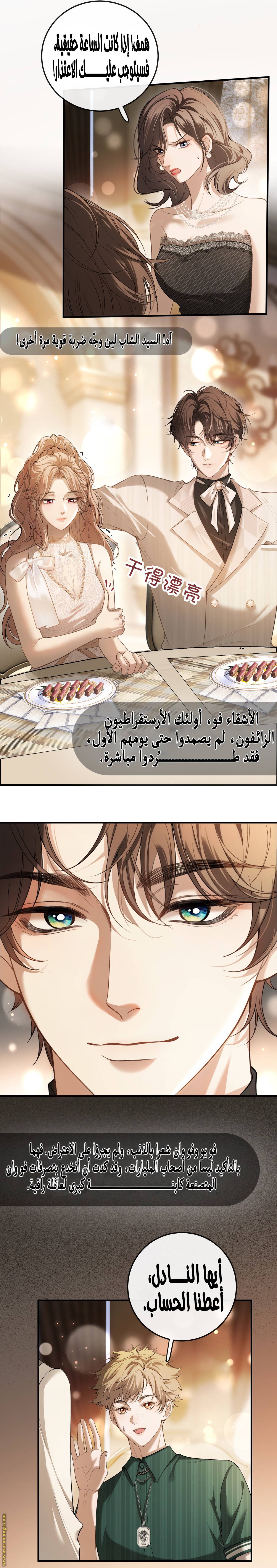 الصفحة 3