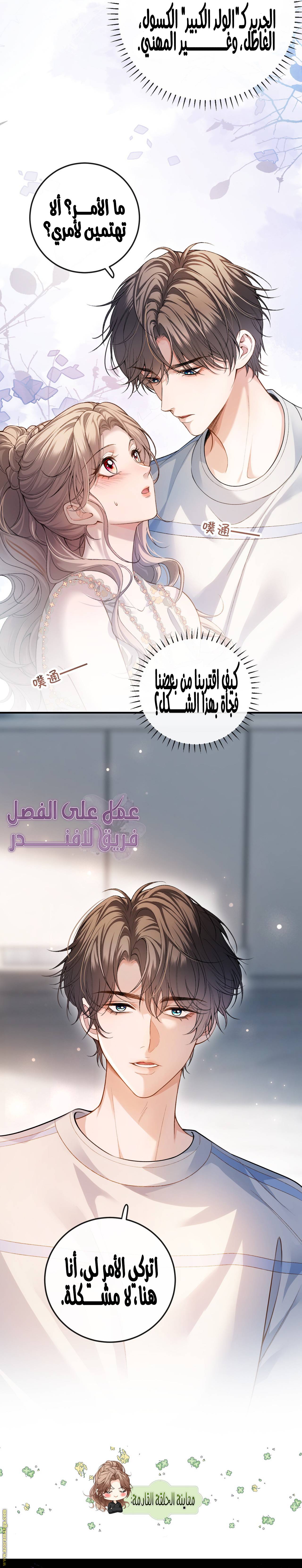 الصفحة 13