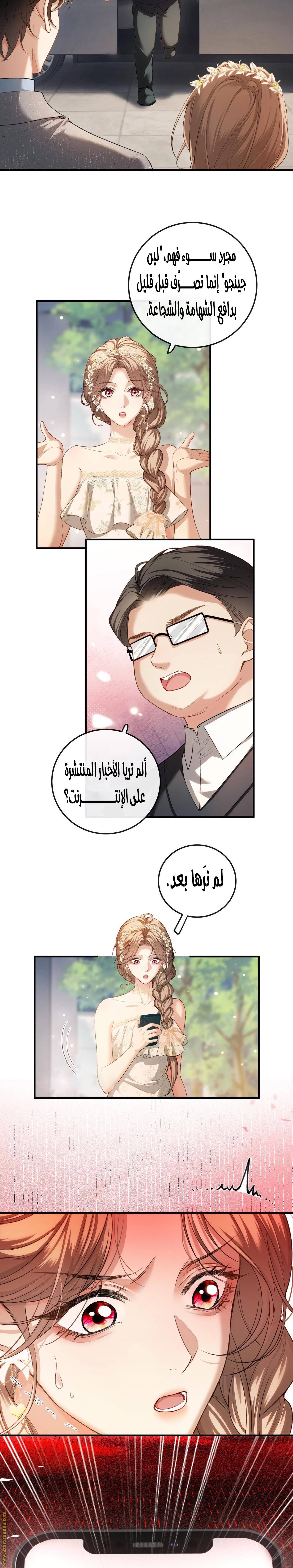 الصفحة 13