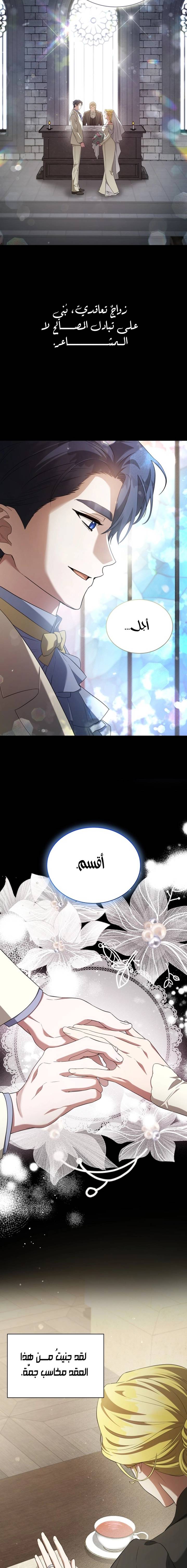 الصفحة 17