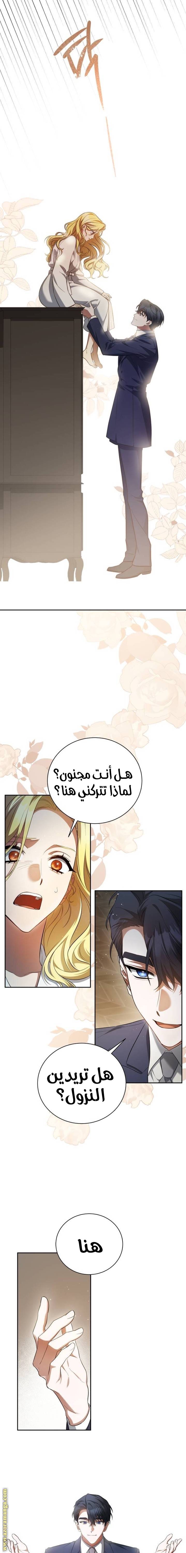 الصفحة 11