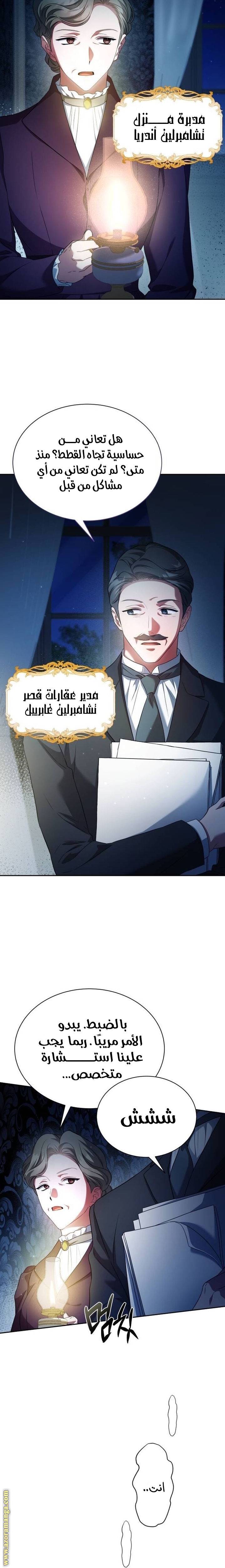 الصفحة 28