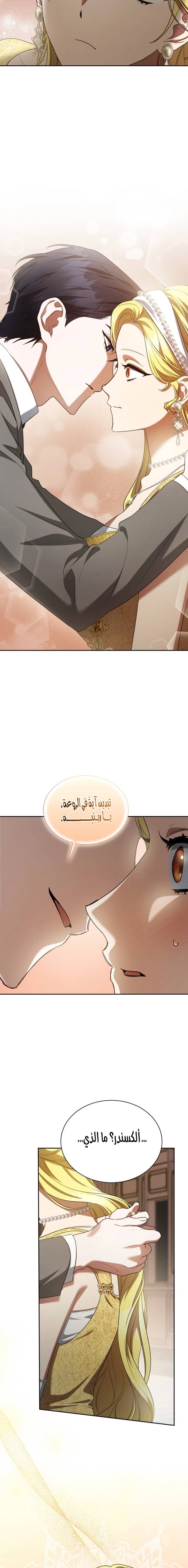 الصفحة 17