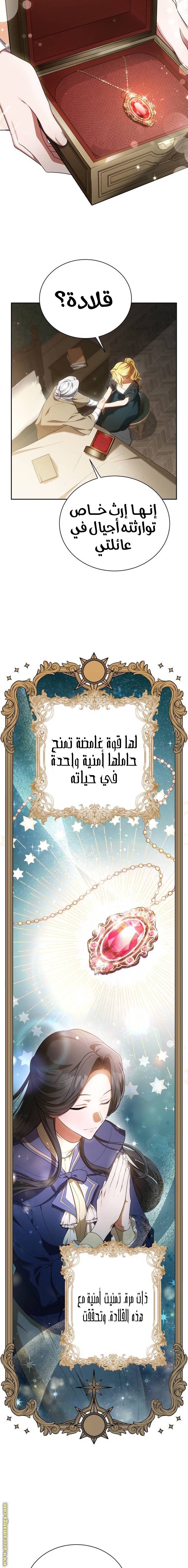 الصفحة 13