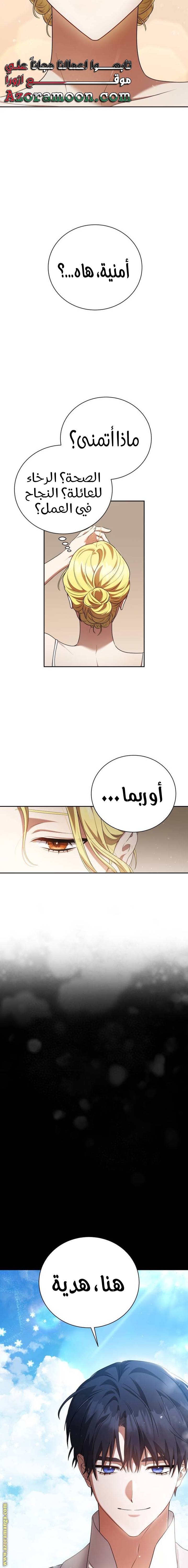 الصفحة 17