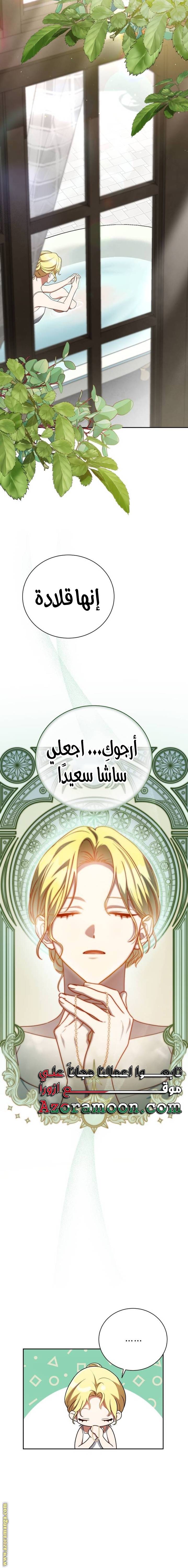 الصفحة 20