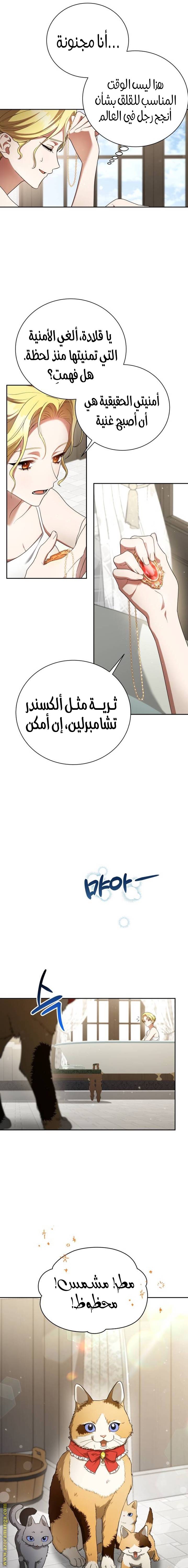 الصفحة 21