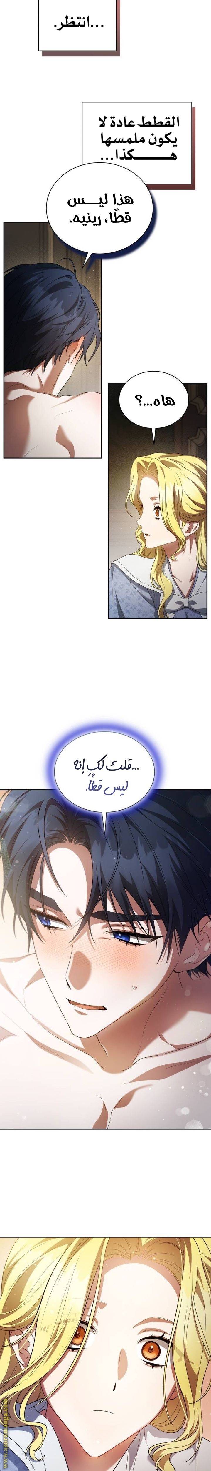الصفحة 13