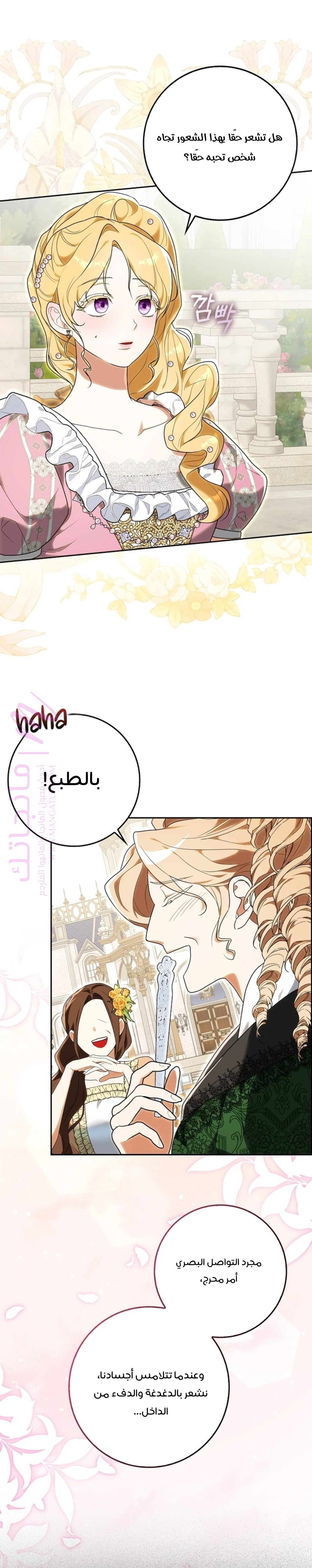 الصفحة 27