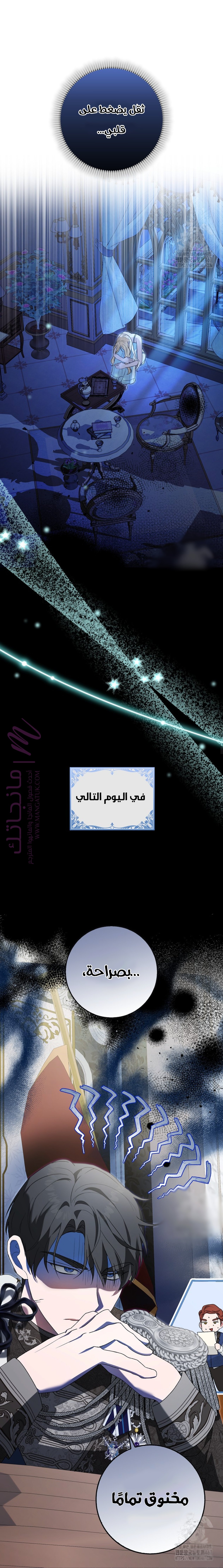 الصفحة 17