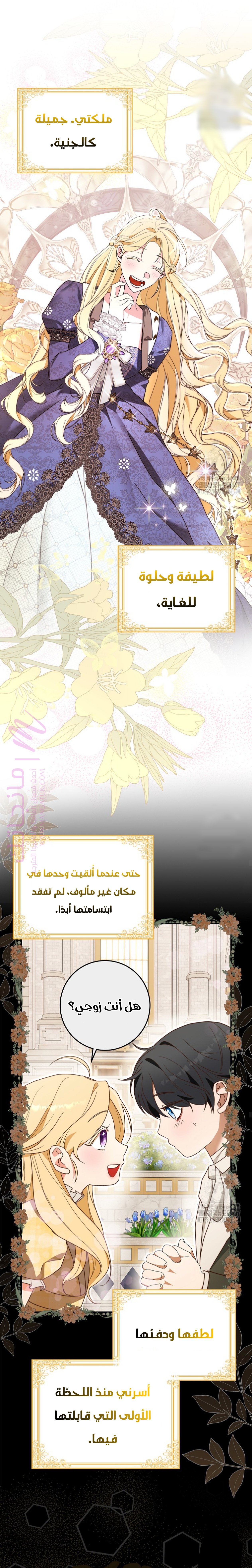 الصفحة 23