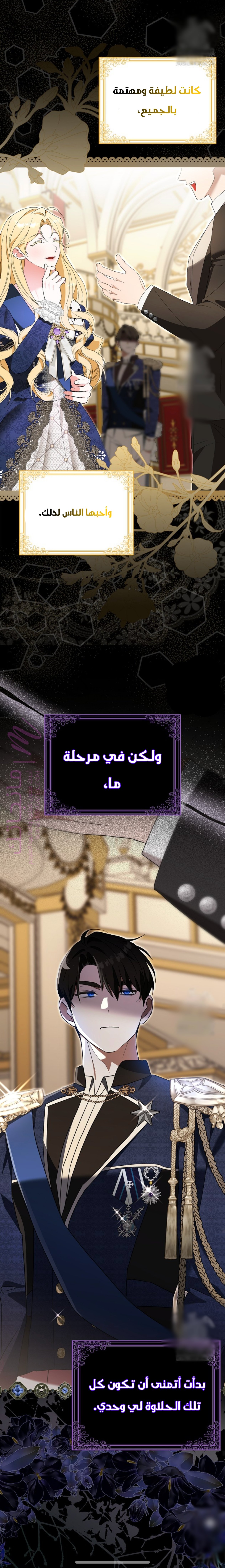 الصفحة 24