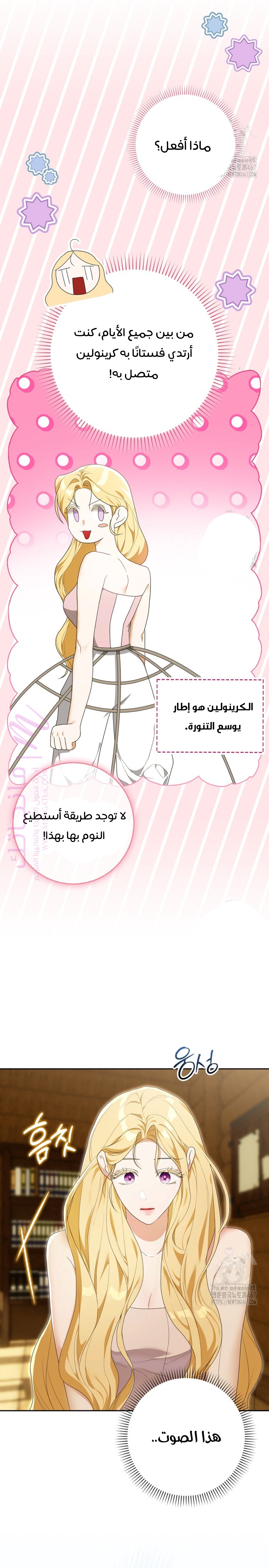 الصفحة 27