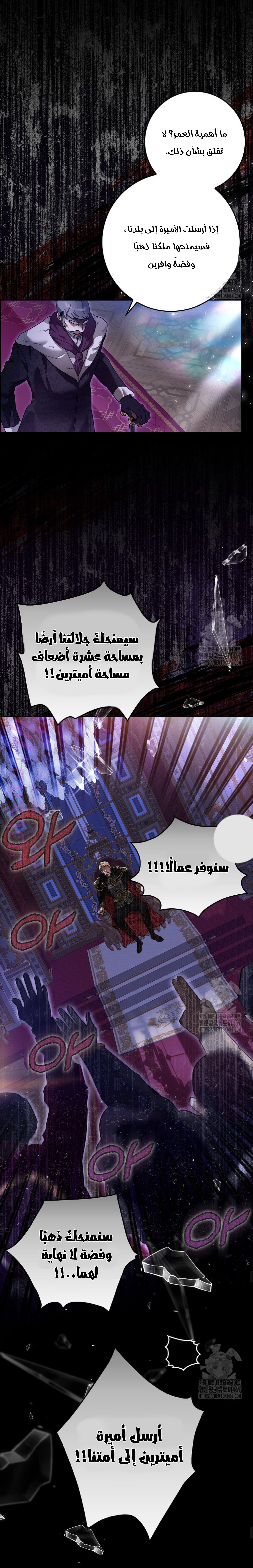 الصفحة 13