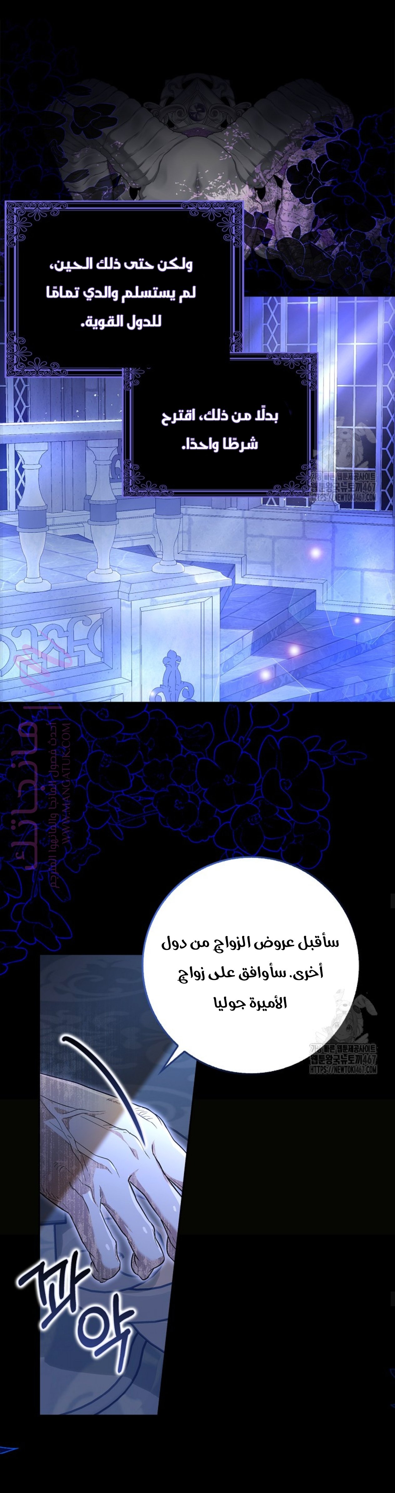 الصفحة 17
