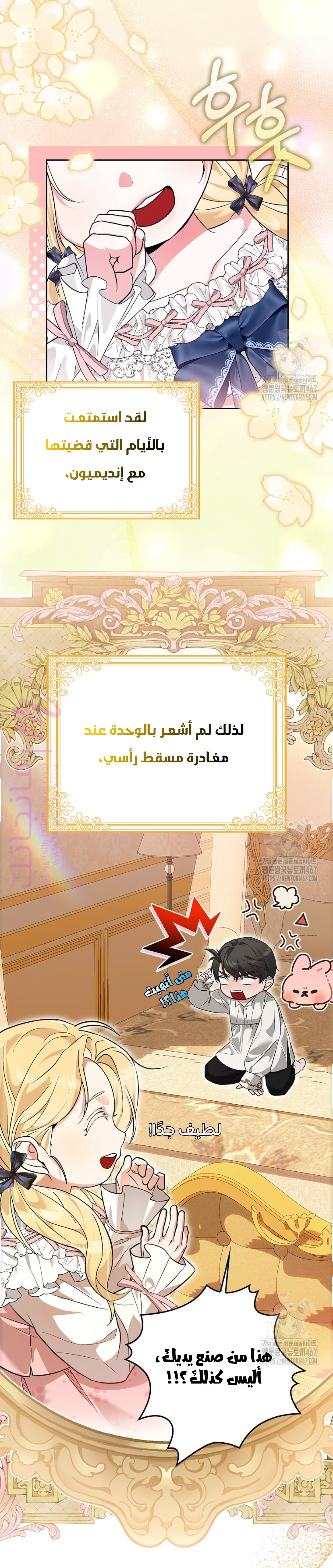 الصفحة 23