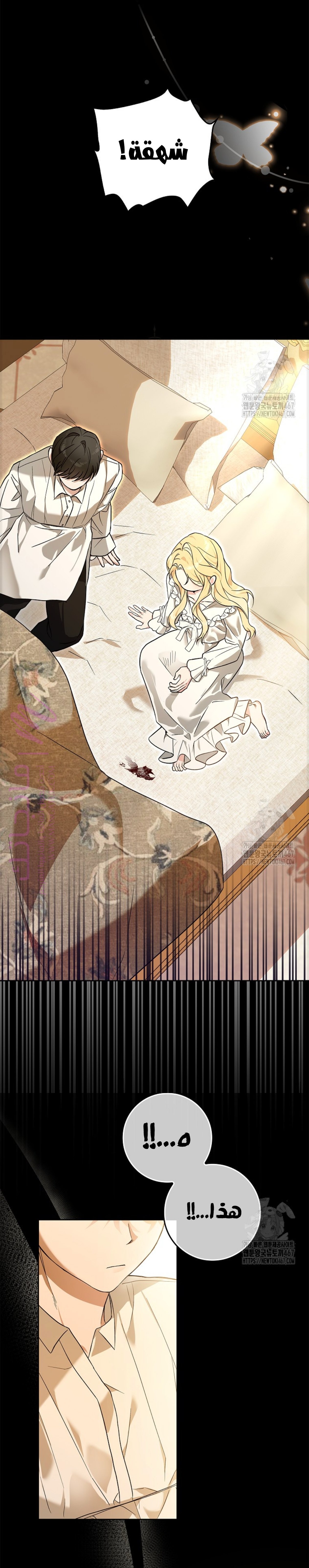 الصفحة 28