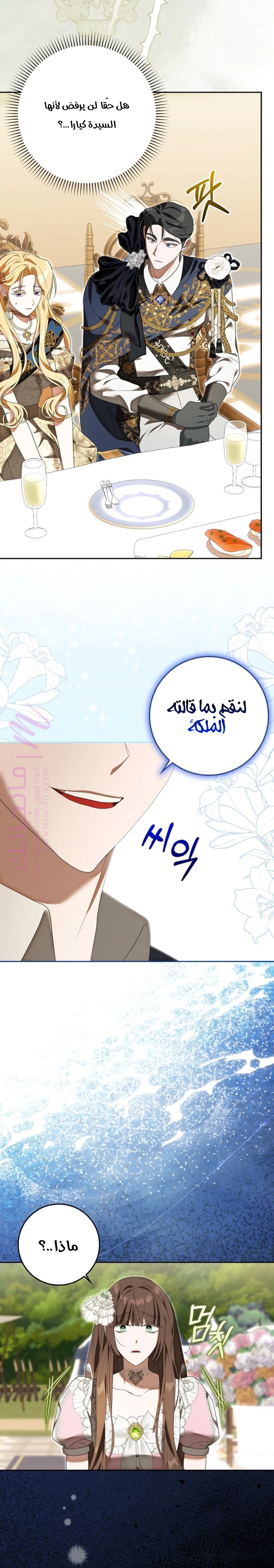 الصفحة 27