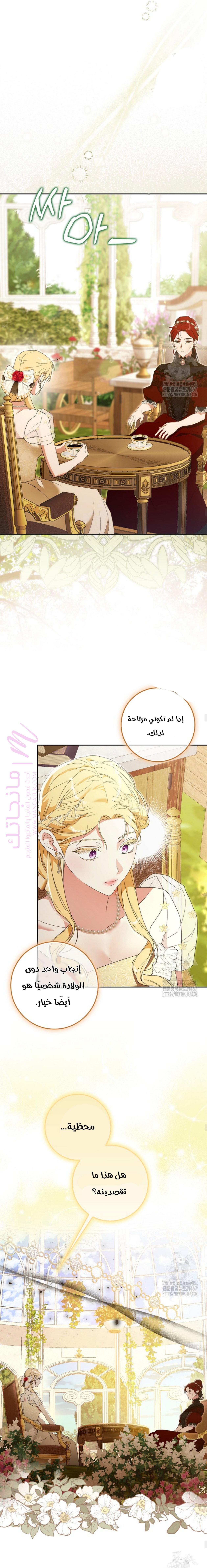 الصفحة 13