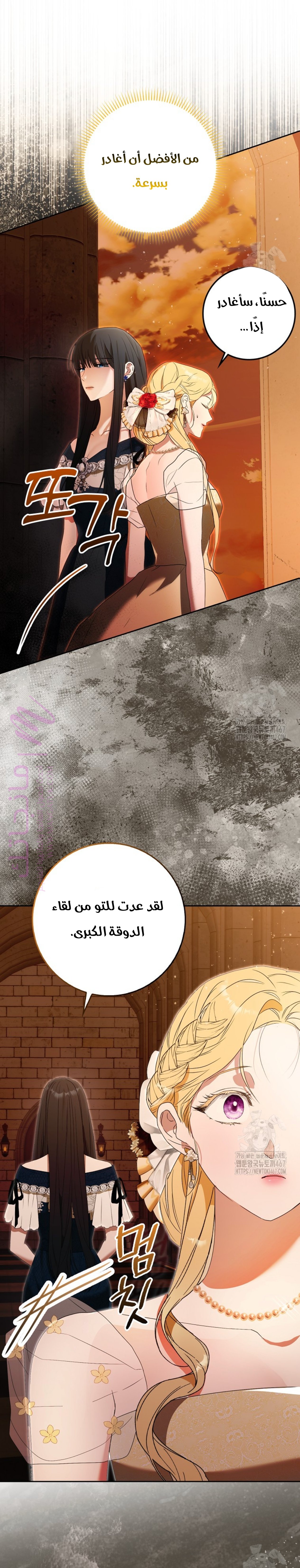 الصفحة 24