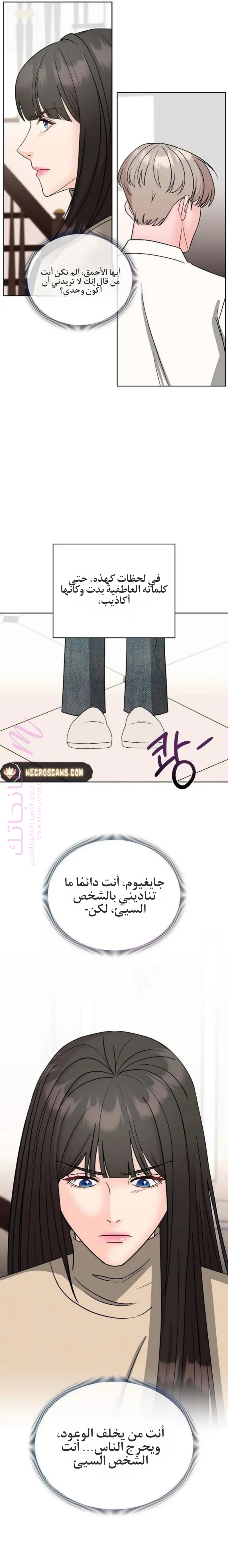 الصفحة 13