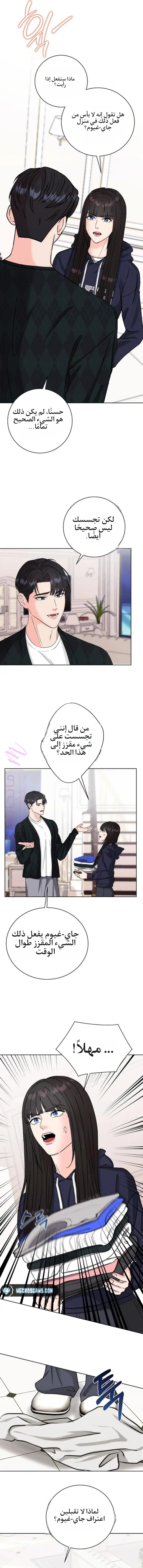 الصفحة 4