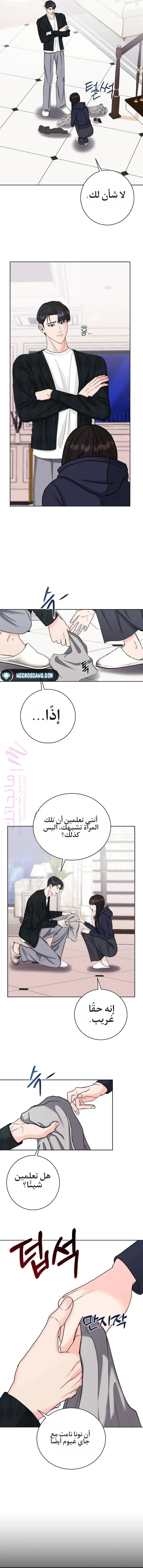 الصفحة 5