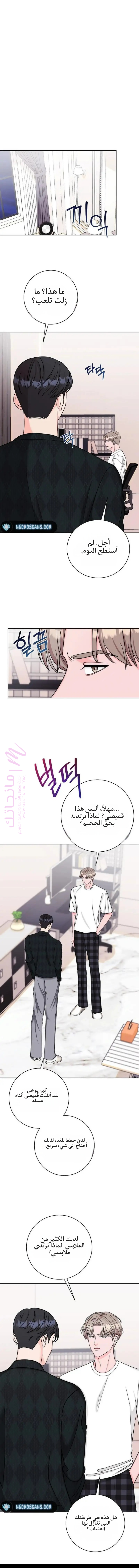 الصفحة 8