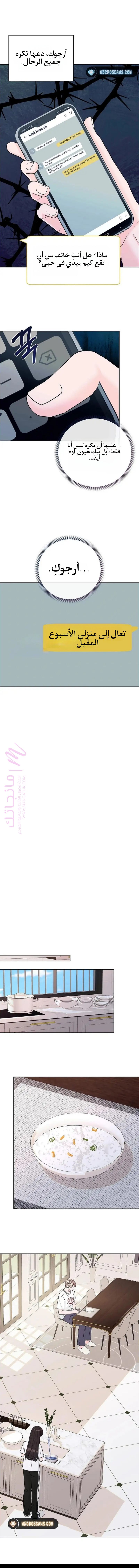 الصفحة 7