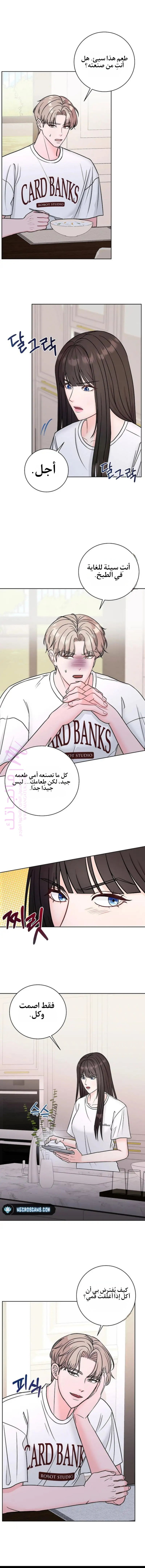الصفحة 8