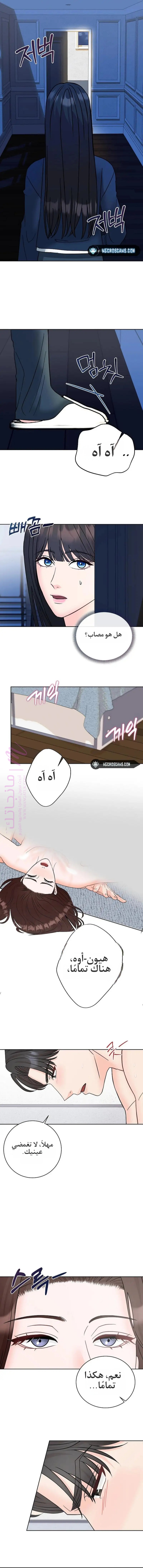 الصفحة 11