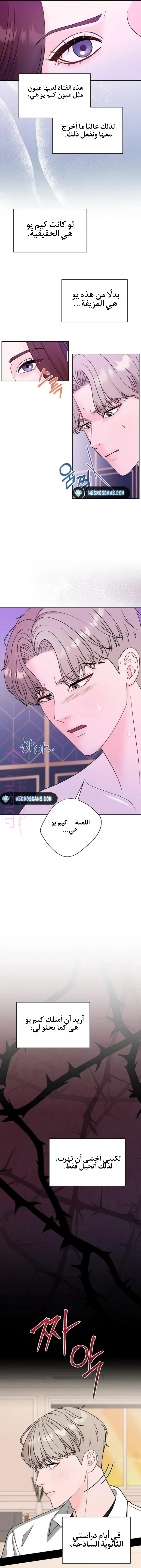 الصفحة 3