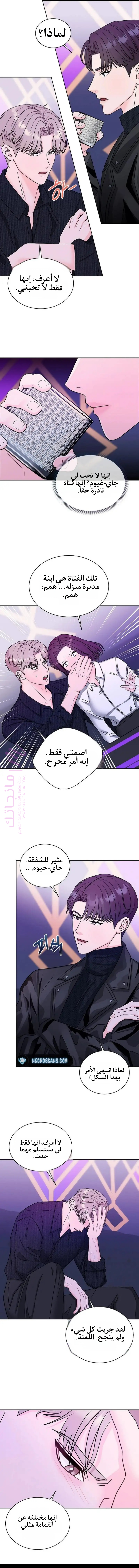 الصفحة 11