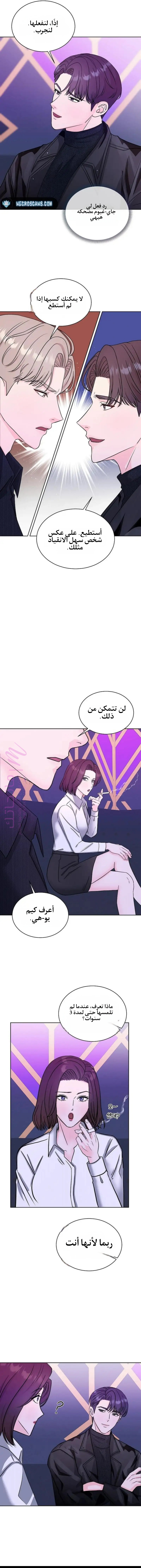 الصفحة 13