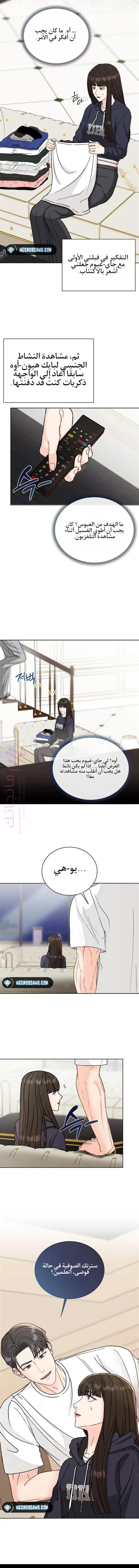 الصفحة 12