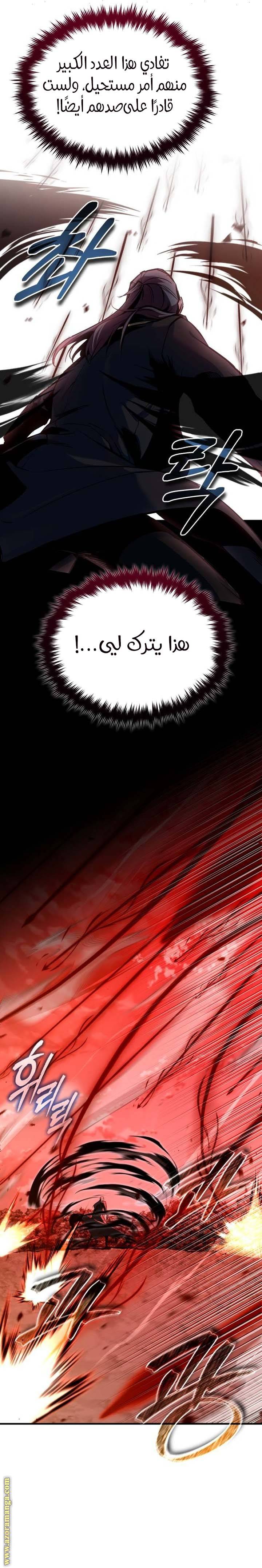 الصفحة 29